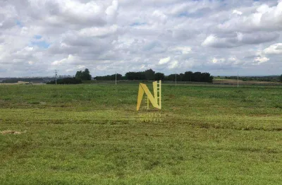 Terreno à venda, 1562 m² por r$ 1.100.000 - esperança - londrina/pr