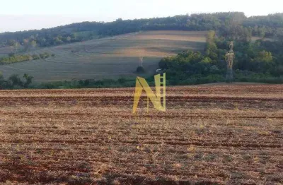 Sítio à venda, 96800 m² (4 alqueires) por r$ 6.400.000 - patrimônio regina - londrina/pr