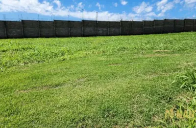 Terreno à venda condomínio bella vittá, 461 m²  r$ 748.000,00 - jardim montecatini - londrina/pr