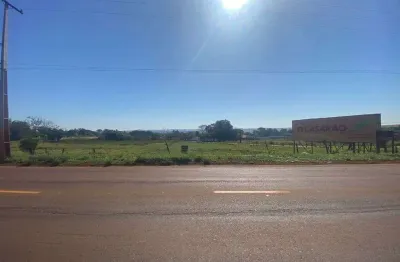 Terreno à venda, 5000 m² r$ 3.000.000,00 - av. saul elkind - perobinha - londrina/pr