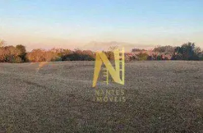 Terreno à venda, 8464 m² por r$ 2.550.000 - estância cabral - cambé/pr