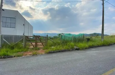 Terreno Plano à Venda em Nova São José — Ideal para Construir ou Investir