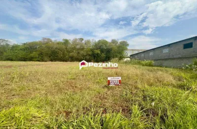 Terreno à venda no Distrito Industrial, Iracemápolis 