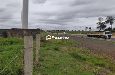 Terreno para alugar em limeira, jardim nova limeira, com 10000 m²