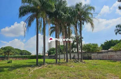 Terreno para alugar em limeira, chácaras antonieta, com 3000 m²