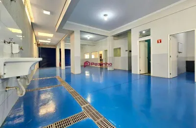 Barracão para alugar em limeira, jardim são paulo, com 230.72 m²