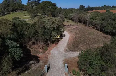 Chácara / sítio com 1 quarto à venda na avenida cristina, 6, jardim florestal, campo largo por r$ 699.000