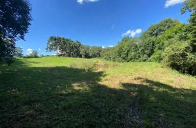 Chácara / sítio com 3 quartos à venda na rua da chapada, 1, centro, balsa nova por r$ 650.000