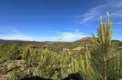 Chácara / sítio com 1 quarto à venda na estrada rural, 1, centro, campo magro por r$ 2.500.000