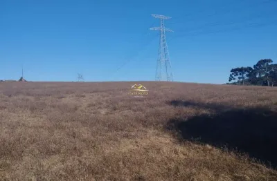 Chácara / sítio com 1 quarto à venda na estrada do felpudo, 1, felpudo, campo largo por r$ 4.500.000