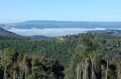 Chácara / sítio com 2 quartos à venda na três córregos, 1, três córregos, campo largo por r$ 880.000