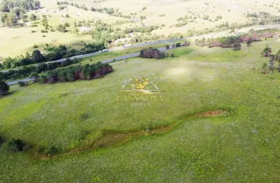 Terreno à venda na br 376, 3, são luiz do purunã, balsa nova por r$ 12.000.000