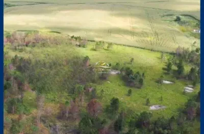 Terreno à venda na br 376, 3, são luiz do purunã, balsa nova por r$ 12.000.000