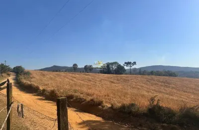 Chácara / sítio com 1 quarto à venda na estrada do retiro, 1, zona rural, campo largo por r$ 450.000