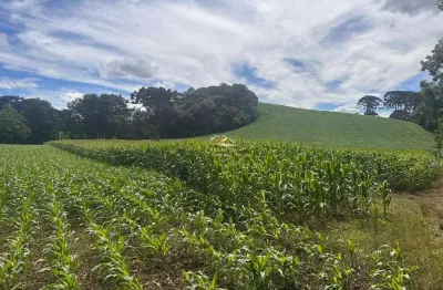 Terreno à venda na Estrada da Cachoeira, 2001, Fazendinha, Campo Largo por R$ 580.000