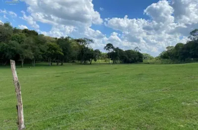 Terreno à venda na rua caetano munhoz da rocha, 1976, ouro verde, campo largo por r$ 880.000