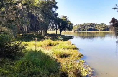 Chácara / sítio com 1 quarto à venda na avenida cristina, 4, jardim florestal, campo largo por r$ 1.450.000
