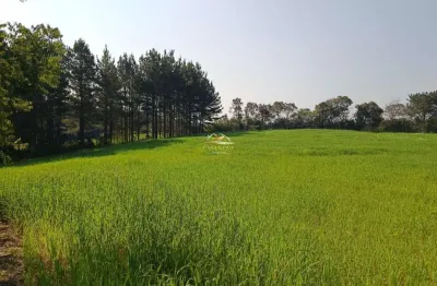 Chácara / sítio com 1 quarto à venda na rua antonio krupa, 1, colônia cristina, araucária por r$ 550.000