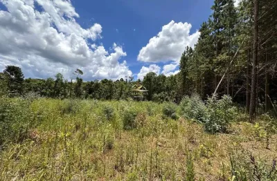 Chácara / sítio com 1 quarto à venda na rua ari de lara vaz, 1, mato dentro, almirante tamandaré por r$ 299.000