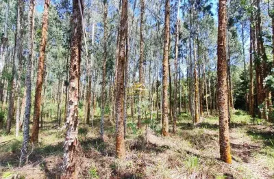 Chácara / sítio com 1 quarto à venda na rua ari de lara vaz, 1, mato dentro, almirante tamandaré por r$ 299.000