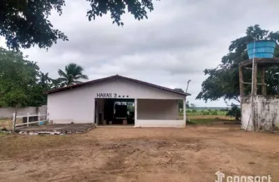 Chácara com 3 dormitórios à venda, 91476 m² por r$ 980.000 - asa branca - feira de santana/ba