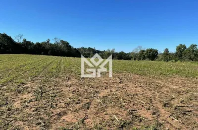 Casa à venda no bairro Parque Itacolomi em Gravataí com 25.000m² de área total