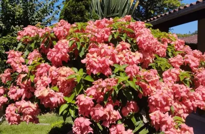 Casa com 3 quartos à venda na Praia Alegre, Penha 
