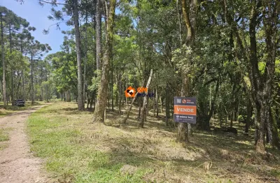 Terreno em avenquinha — campo alegre/sc tipo bosque com fácil acesso