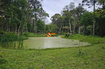 Lindo terreno rural em campo alegre - sc com riacho, tanques e muita natureza