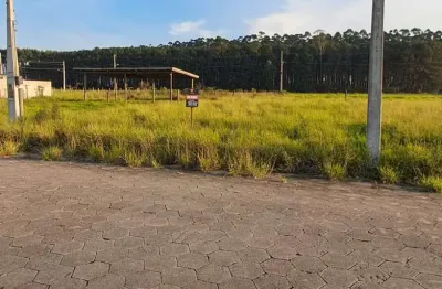 Terreno à venda na Rodovia Valmiro Manoel Gonçalves, Lagoa da Serra, Araranguá
