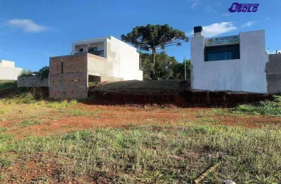 Terreno no bairru das cerejeiras, rua miguel losso - guarapuava