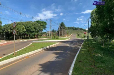 Terreno à venda na Avenida Vereador Rubem Siqueira Ribas, Boqueirão, Guarapuava
