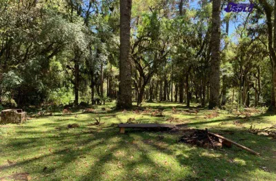Chácara / sítio à venda na Avenida Antônio Farah, Santana, Guarapuava
