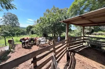 Chácara / sítio com 3 quartos à venda na Área Rural de Agudos, Agudos 