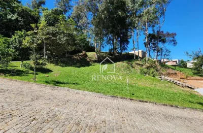 Terreno à venda, 499 m² por r$ 170.000,00 - vargem grande - teresópolis/rj