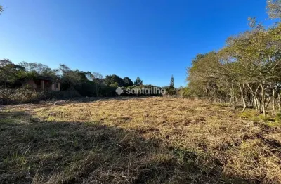 Terreno comercial para alugar na Rua Pau de Canela, 1134, Rio Tavares, Florianópolis por R$ 20.000