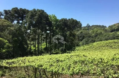 Terreno à venda no Desvio Rizzo, Caxias do Sul 