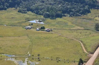 Fazenda à venda, fazenda do barrocão, são francisco de paula, rs