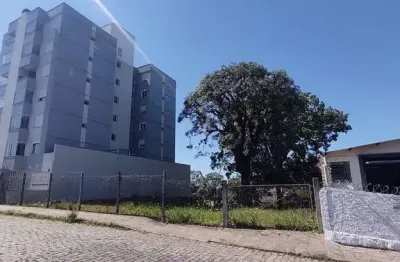 Terreno à venda no Presidente Vargas, Caxias do Sul 