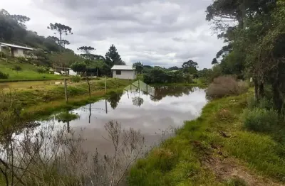 Chácara / sítio com 5 quartos à venda em Criúva, Caxias do Sul 