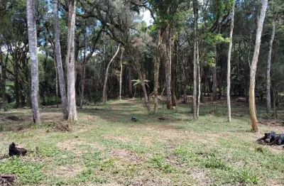 Chácara / sítio à venda na Rua João Kosiak, São Marcos, São José dos Pinhais