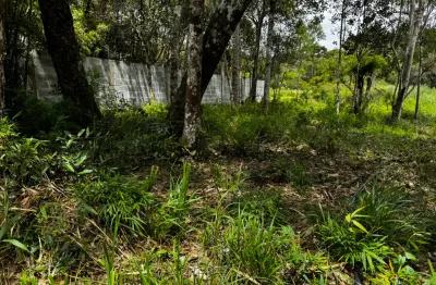 Chácara / sítio à venda no Campo Largo da Roseira, São José dos Pinhais 