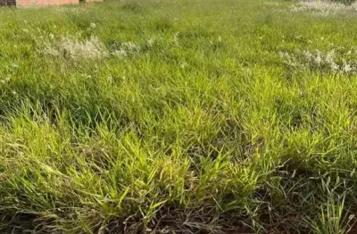 Terreno à venda no centro de cravinhos-sp com 160m² de área! aproveite essa oportunidade única!