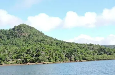 Fazenda à venda no Centro, Maragogipe 