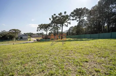 Terreno em condomínio fechado à venda na rua pedro cruzetta, campo comprido, curitiba, 888 m2 por r$ 1.776.000