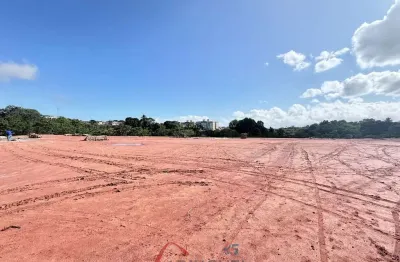 Terreno comercial de 25.000m² à venda em jardim limoeiro, serra-es: a oportunidade que você procurava!
