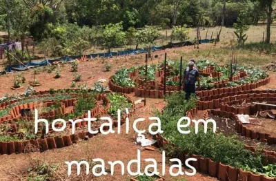 Chácara / sítio com 3 quartos à venda na região geográfica imediata de uberlândia, região geográfica intermediária de uberlândia,, área rural de uberlândia, uberlândia por r$ 800.000