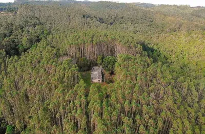 Sítio com 2 dormitórios à venda, 190000 m² por r$ 870.000,00 - vila elvio - piedade/sp