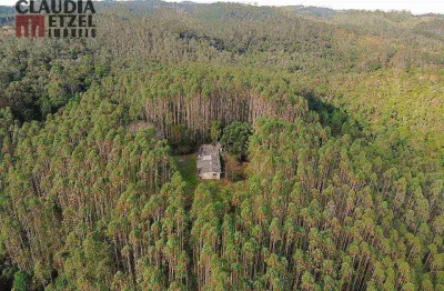 Sítio com 2 dormitórios à venda, 190000 m² por R$ 870.000,00 - Vila Elvio - Piedade/SP