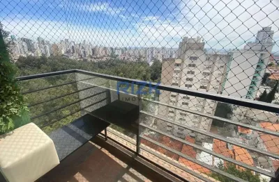 Apartamento com 3 quartos para alugar na Rua Paulo Orozimbo, Aclimação, São Paulo